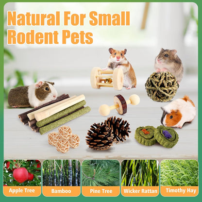 Kyouki Hamster Toys Guinea Pig Toys Set with Tunnel, Chewable Apple Wood & Natural Timothy Hay - Enrichment Chew Toys for Small Animals - 24+ Cage Accessories for Teeth Care & Boredom Relief (Green)