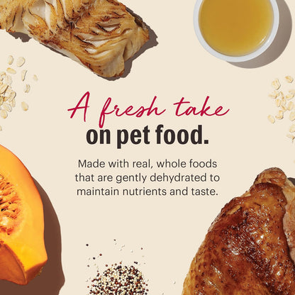 The Honest Kitchen Dehydrated Gourmet Grains Turkey & White Fish Dog Food, 4 lb Box