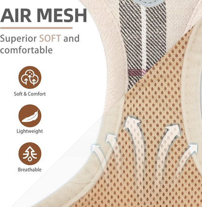 PUPTECK Adjustable Dog Harness Collar Leash with Dress Set