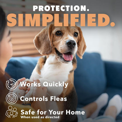 Flea Spray for Dogs, Gentle & Effective Flea Treatment for Pets, 16 oz (475mL)