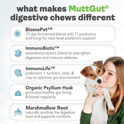 MuttGut® 3-in-1 Puppy & Dog Probiotics + Prebiotics + Postbiotics Chews - Promotes Digestive Health, Supports Immune System and Overall Health - Dog Diarrhea Relief & Immune Support - 60 Soft Chews