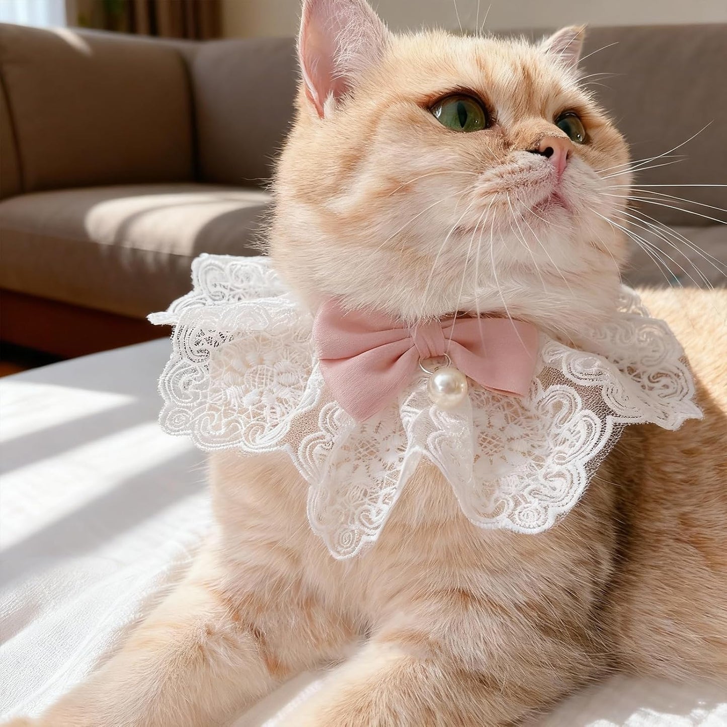 Breakaway Cat Bow Collar, Floral Cute Kitten Collar, Adjustable Safety Ties with Pearl Bell, Elegant Lace Necklace for Indoor Girl Cats, Dogs, Pets (Pink)