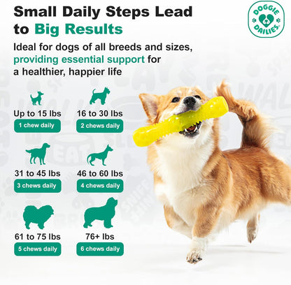 Doggie Dailies Probiotics for Dogs - Advanced Dog Probiotics with Prebiotics - Promotes Digestive Health - Supports Immune System and Overall Health (Pumpkin) 225 Soft Chews