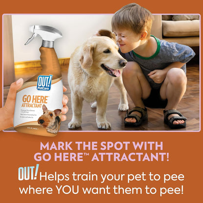OUT! PetCare Go Here Attractant Dog and Puppy Potty Training Spray, Safe & Effective Puppy Pee Spray, Dog Housebreaking Supplies, Indoor and Outdoor House Training Tool, 32 oz