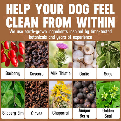 Better Dog Supplements Inner Purity by Cesar Millan – Natural Digestive, Dewormer & Gut Health Powder for Dogs – Internal Cleanliness, Detox & Bowel Movement Support – 3.4oz, (60-Day Supply)