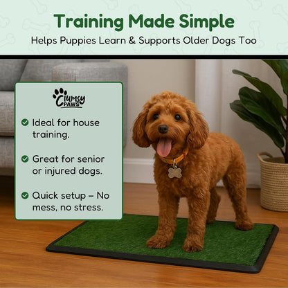 Dog Grass Pad with Tray, Large 30x20in Reusable Artificial Grass Pee Pad for Dogs & Puppy Potty Training Litter Box for Indoor & Outdoor Use