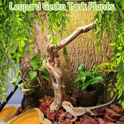 Hamiledyi Reptile Hideouts Natural Coconut Shells Hut Hermit Crab Climbing Toys and Tank Habitat Decorations 2 PCS Terrarium Hanging Plants for Lizard, Snake, Bearded Dragon, Leopard Gecko, Chameleon