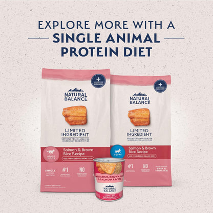Natural Balance Limited Ingredient Adult Dry Dog Food with Healthy Grains, Salmon & Brown Rice Recipe, 24 Pound (Pack of 1)
