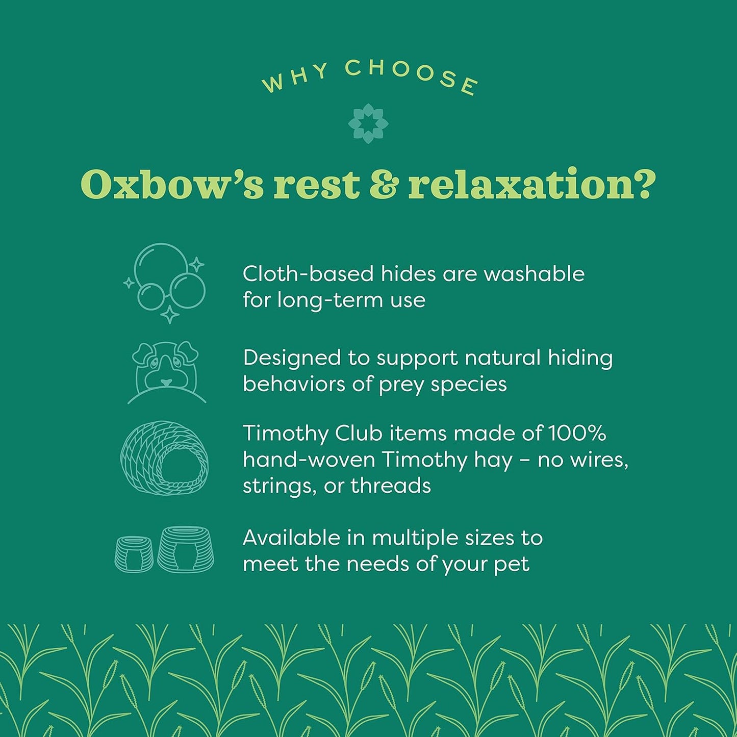 Oxbow Timothy Hay Tunnel, Guinea Pig Hideout, Rabbit & Bunny Tunnel, Edible & Hand-Woven Guinea Pig House, No Wires or String, Small Pet Accessories, for Rabbits, Chinchillas & Rats