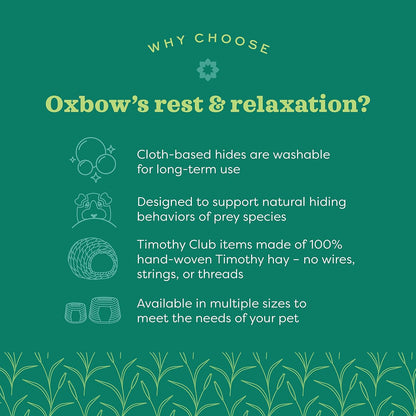 Oxbow Timothy Hay Tunnel, Guinea Pig Hideout, Rabbit & Bunny Tunnel, Edible & Hand-Woven Guinea Pig House, No Wires or String, Small Pet Accessories, for Rabbits, Chinchillas & Rats