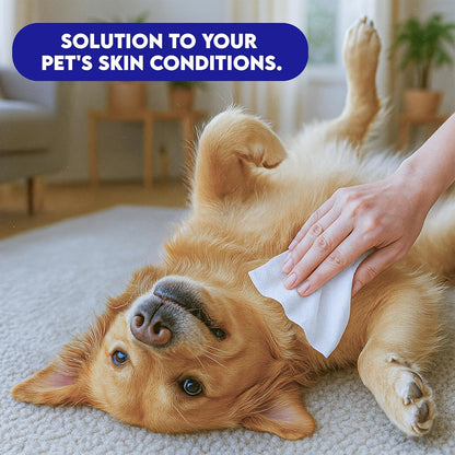 Vets Value Pet Cleansing Wipes for Dogs & Cats – Gentle Grooming Wipes with Light Cucumber Melon Scent, Extra-Large Size for Daily Freshening and Easy Cleaning, 60 Count (XL)