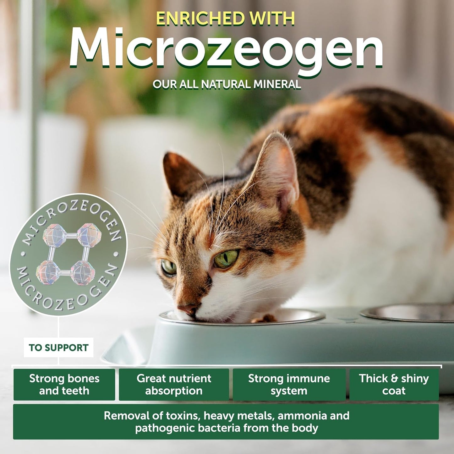 Nature's Protection Dry Cat Food - Grain Free, High Protein Cat Food Dry Kibble for Indoor Adult Cats with Light Fur - Sensitive Stomach, No Tear Stains & Hairball (Superior Care - Herring, 3.3 lb)