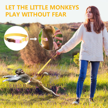 Mini Monkey Leash, Adjustable Monkey Strap with Belly Bands and Matching Leash for Marmoset Monkey, Maximum Dimension 5.7 Inches for Monkey, Comfortable and Durable