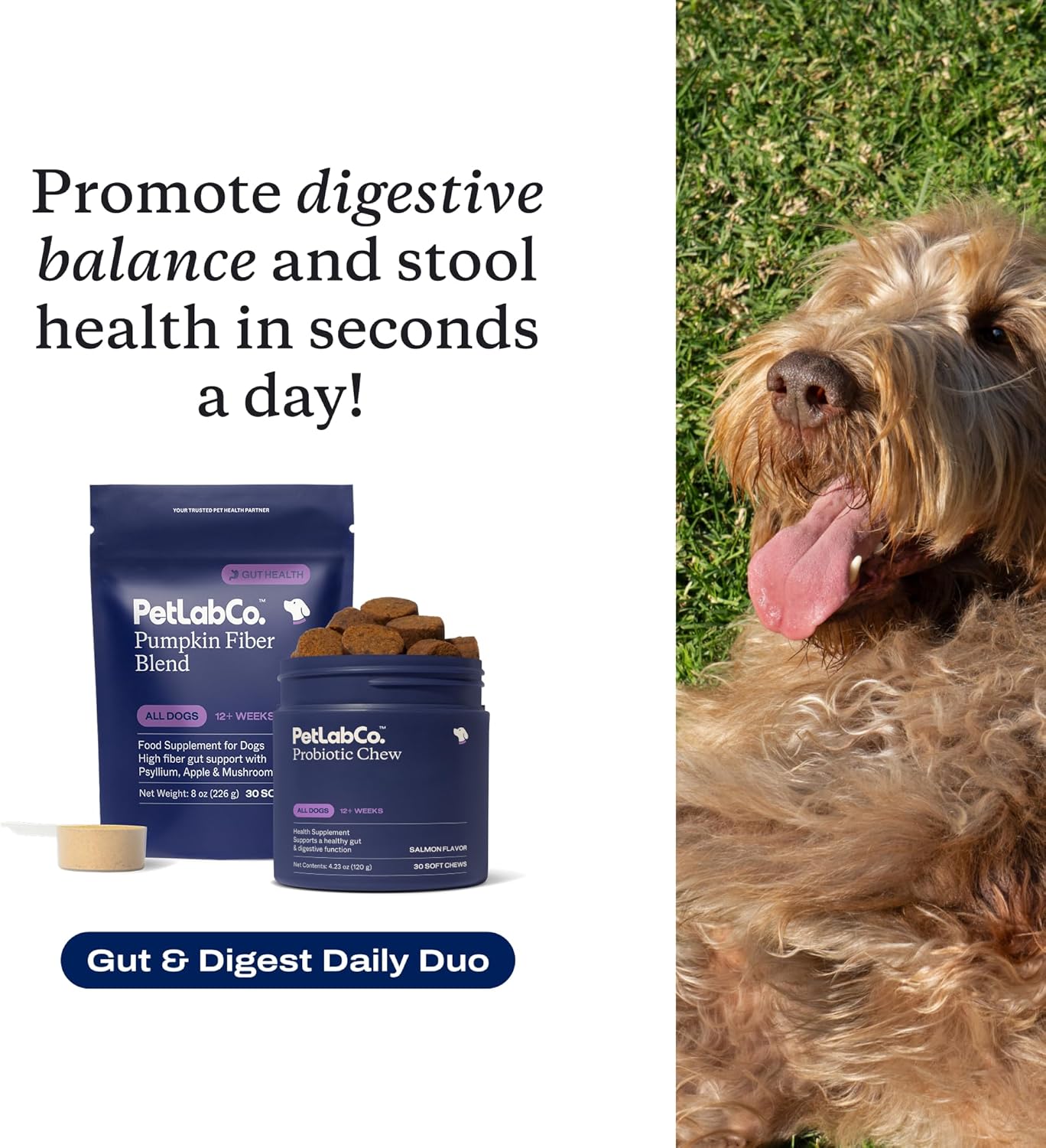 PetLab Co. – Gut & Digest Daily Duo: Pumpkin Powder Blend for Easy Digestion & Firm Stools for Small/Medium/Large Dogs & Salmon‑Flavoured Probiotic Chews to Support Gut & Immune Balance – Easy to Use