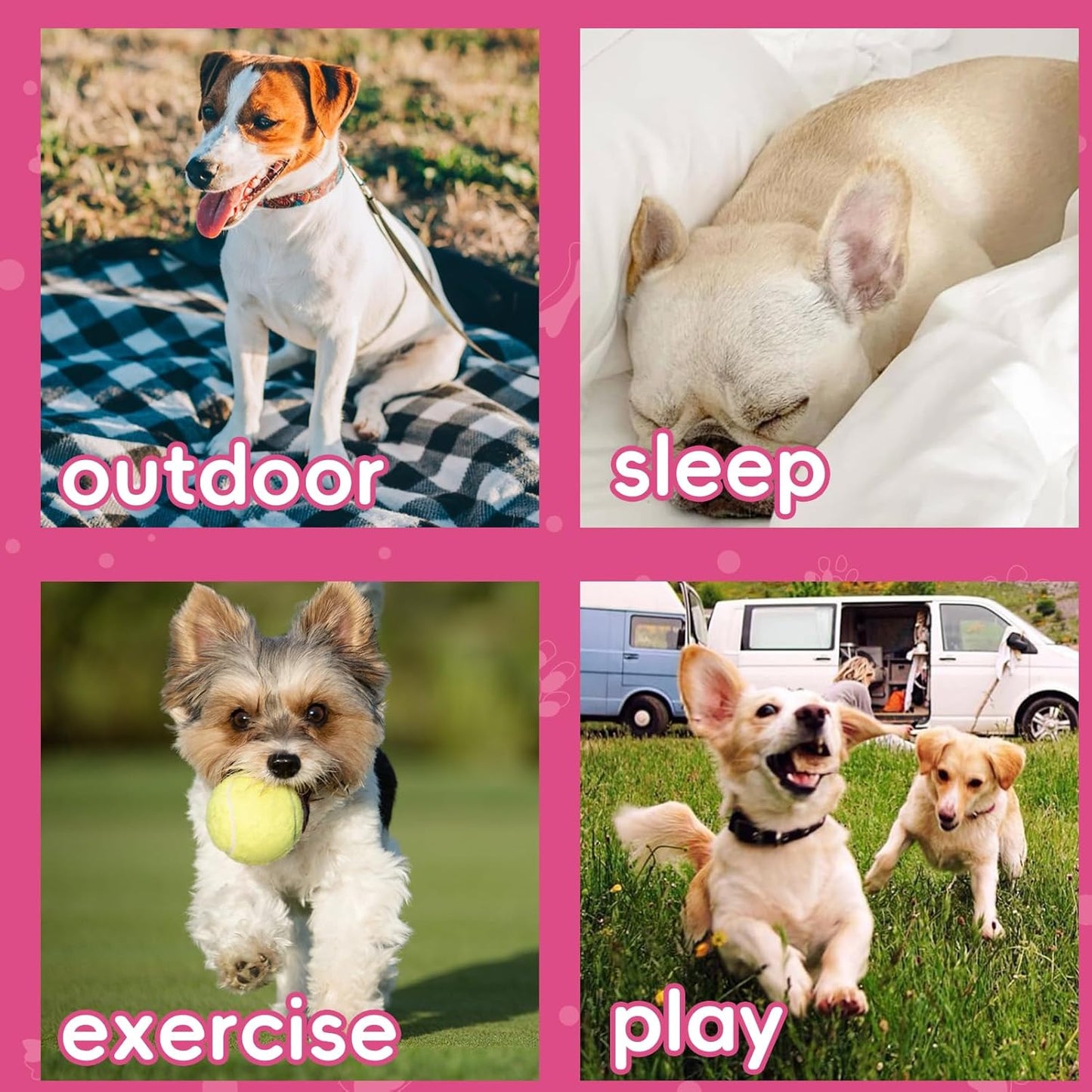 Dog Shirt for Small Dogs Pink Size S and Washable Dog Pee Pads 36x41 in