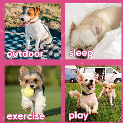 Dog Shirt for Small Dogs Pink Size S and Washable Dog Pee Pads 36x41 in