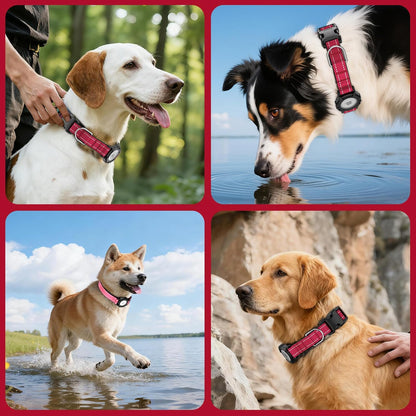AirTag Dog Collar, Reflective Dog Collar with Airtag Holder, IP68 Waterproof Integrated Air Tag Dog Collars, Ultra-Durable, Comfortable Padded, GPS Tracker Collars for Dogs (Red, M)