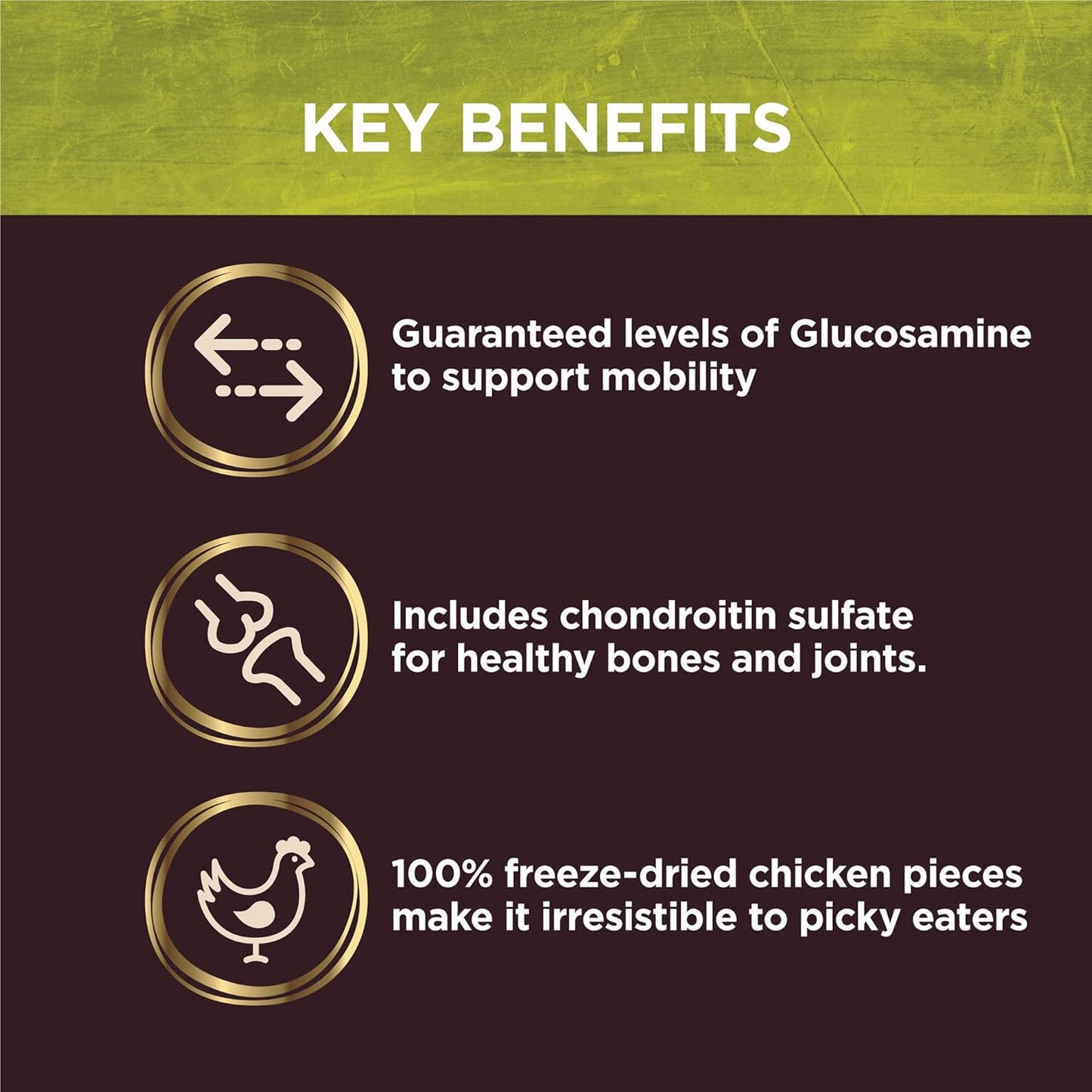 Wellness CORE Natural Grain Free Senior Dry Dog Food, 24 Pound Bag CORE Bowl Boosters Joint Health Dog Food Topper