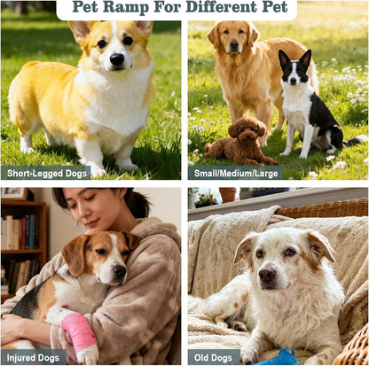 Dog Ramp with Adjustable Height, 31.5" Pet Ramp for Bed, Couch, Car, Small to Large Dogs, Non-Slip Surface, Portable & Lightweight