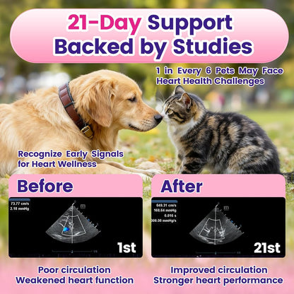 CoQ10 for Dogs, Coenzyme Q10 Heart & Cardiovascular Support Supplement for Dogs Cats, with Taurine & Chicken Liver Powder, Promotes Heart Health, Cognitive and Energy Support - 120 Capsules