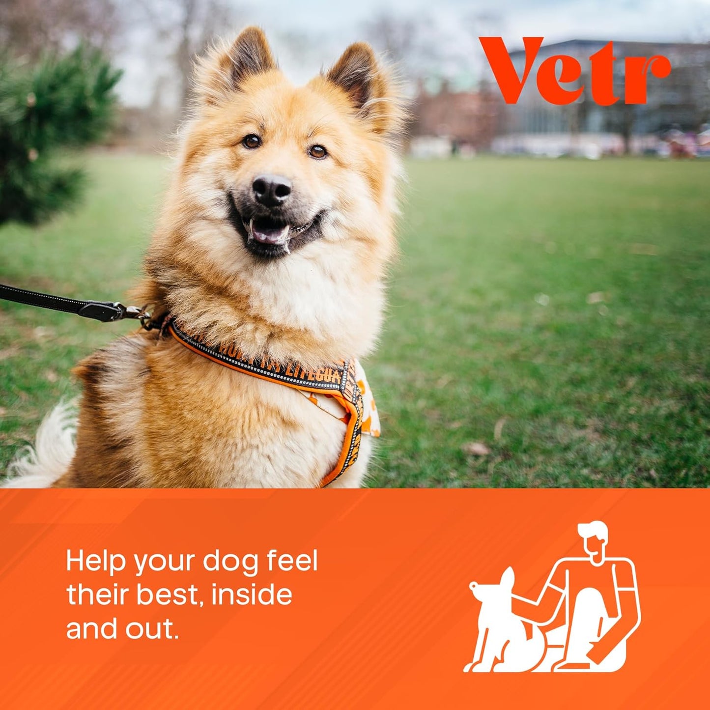 Vetr Multivitamin Treats for Dogs - Grain Free Dog Vitamins and Supplements for Skin & Coat, Glucosamine Chondroitin Joint Support - Chicken Flavored 60 Count - Vet-Formulated in USA