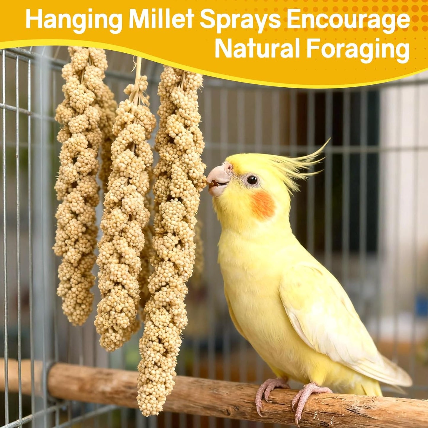Sukh Millet Spray for Parrots - 30 Pcs Natural Sun-Dried Bird Treat, 12.6 Inches Bird Millets for Cockatiels, Budgies, Parakeets, Finches, Canaries and Pet Birds
