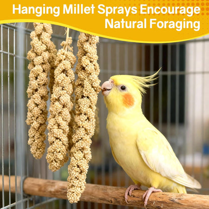 Sukh Millet Spray for Parrots - 30 Pcs Natural Sun-Dried Bird Treat, 12.6 Inches Bird Millets for Cockatiels, Budgies, Parakeets, Finches, Canaries and Pet Birds