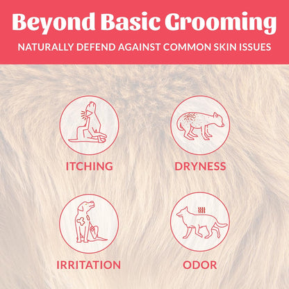 SKOUT'S HONOR Probiotic Pet Deodorizer Spray- Hydrating Daily-Use with Avocado Oil & Omega-3s, Microbiome Friendly Certiified, Paraben & Sulfate-Free, 97% Natural, 8oz, Sunkissed Coconut