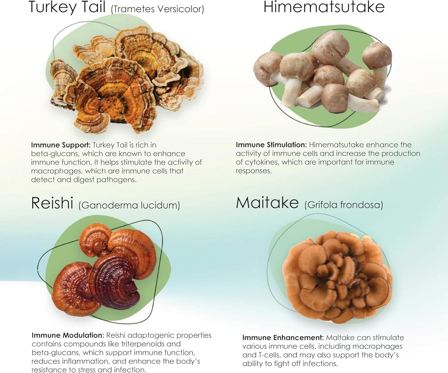 Mycogen for Dogs - Vitamins with 8 Types of Mushrooms - Support Immune System - 60 Soft Chews