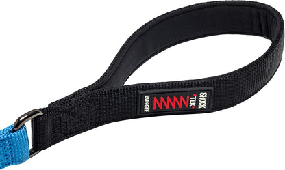 Franklin Pet Supply Co. Nylon Dog Leash - 4 Foot Dog Leash with Shok-Tek Bungee - Prevents Jumping and Pulling - Bright-Color Nylon for Night Visibility - Blue