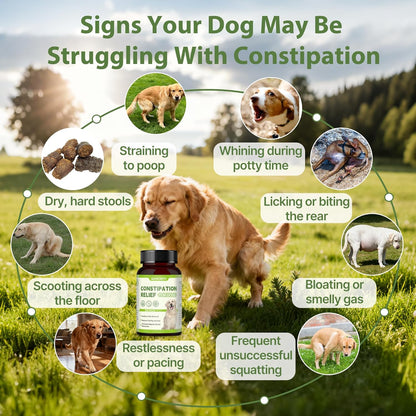 Dog Constipation Relief, Dog Laxative andDog Stool Softener – Herbal and Probiotic Supplement for Constipation Relief forDogs, DogGas Relief – Supports Digestion, Comfort, and Regular Poops