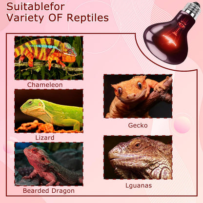 60W Red Infrared Heat Lamp Bulb – All-Day Heating, Supports Metabolism & Digestion, Basking Spot Light for Reptiles, Lizards, Snakes & Chicks, Terrarium & Brooder Heater