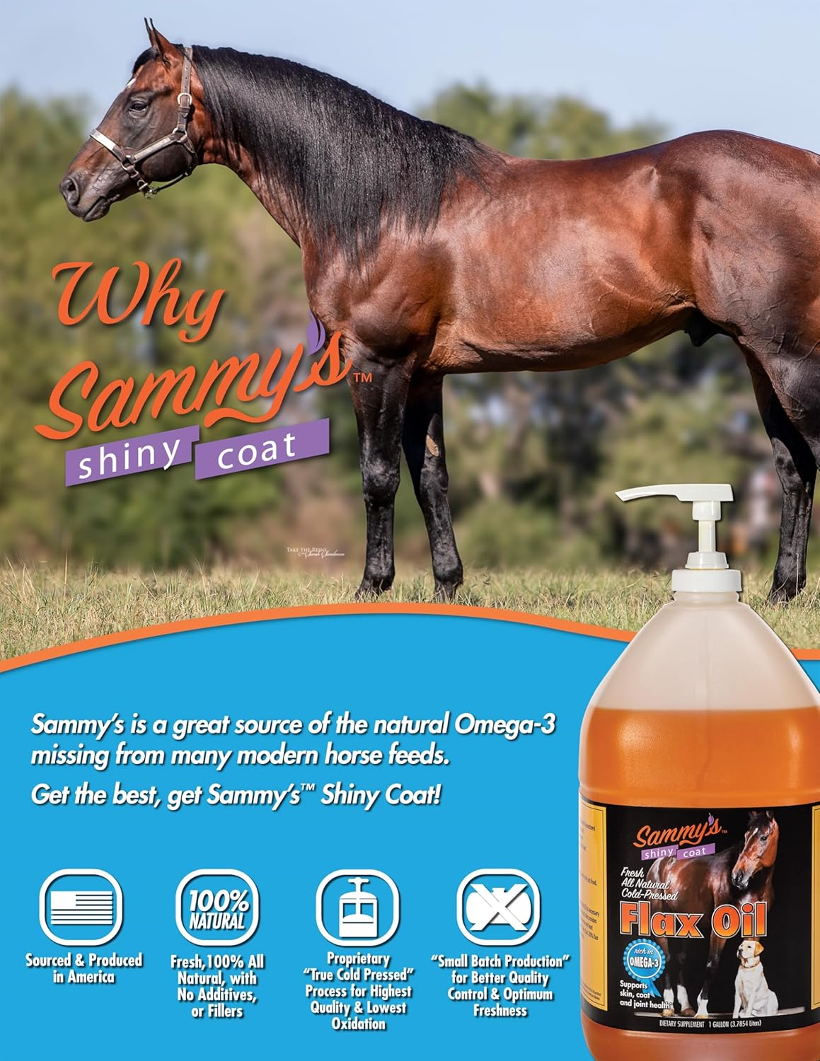 Sammy's Shiny Coat Flax Oil for Horses, Pure Flaxseed Oil for Horse, Rich in Omega-3 Fatty Acids, Flax Oil Horse Supplement for Skin and Coat, Immune, Cardio and Joint Support, 1 Gallon with Free Pump