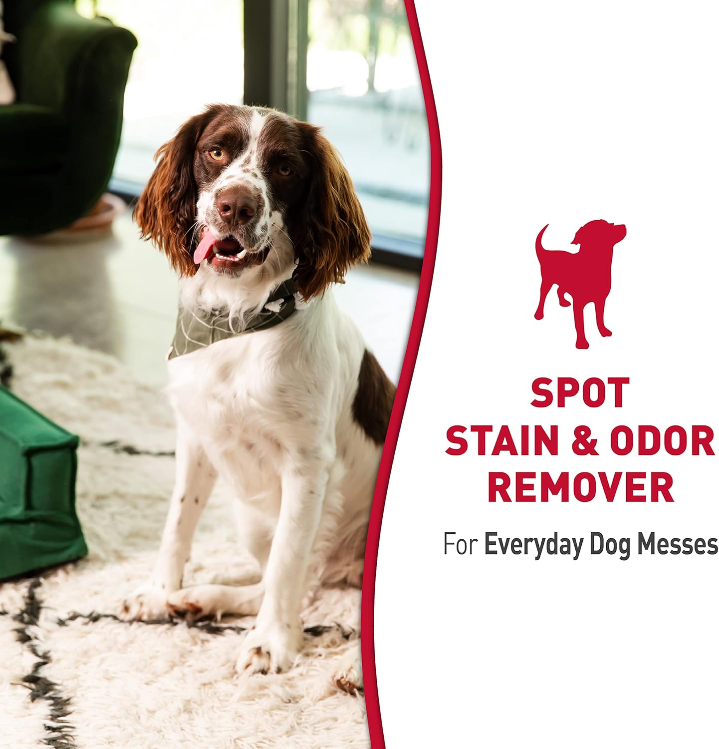 Nature's Miracle Stain and Odor Remover for Dogs, Odor Control Formula, Refill, 1.33 Gal