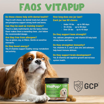 Guardian’s Choice VitaPup Puppy Vitamins Chews, Dog Vitamins for Growth, Digestion, Coat, Brain & Immune Support, Daily Multivitamin for Dogs with Omega 3, Biotin, & Calcium, 90 Tasty Soft Chews
