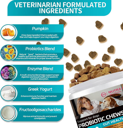 Probiotic Chews for Dogs, Natural Gut Health Support, 120 Soft Chews, Lamb Flavor, 300g