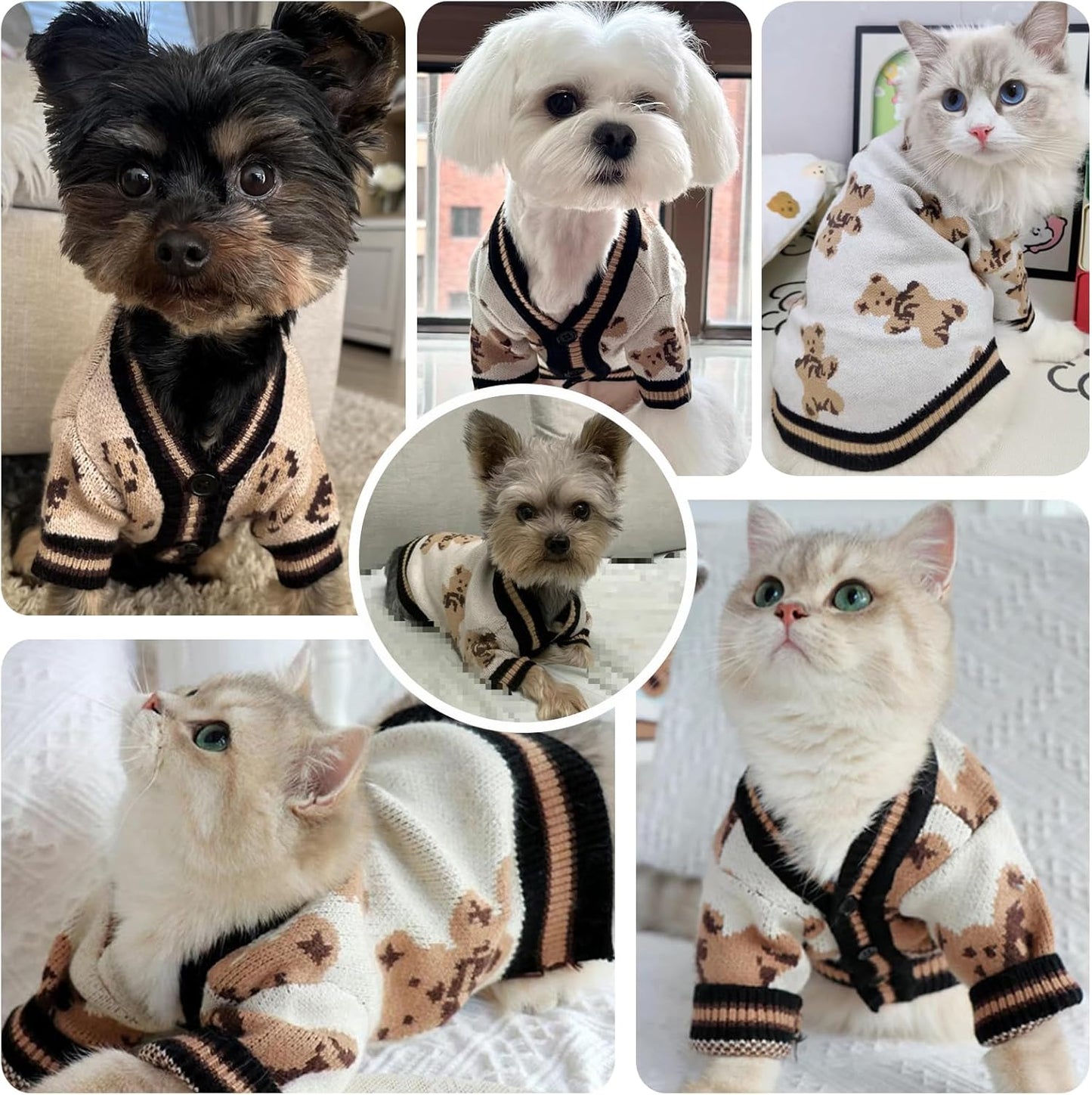 Small Dog Sweaters Cute Bear Dog Cardigans Clothes for Small Medium Dogs Boy Girl Puppy Cat Knitting Cardigan Outfits Dogs Winter Coats Warm Pet Doggy Clothes Soft Knitwear (Beige, Small)