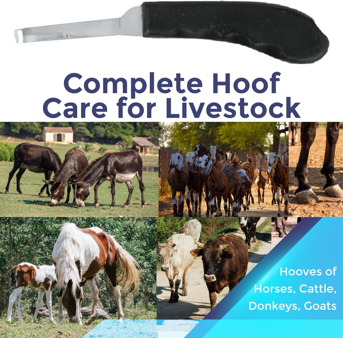 Regular Hoof Knife for Horses – Farrier Tool with Plastic Grip – Hoof Trimming Knife for Equine Care & Veterinary Use (Narrow-Blade)