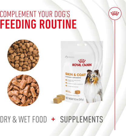 Royal Canin Skin & Coat Dog Supplement Soft Chews for Adult Dogs, 60 Count (Pack of 4)