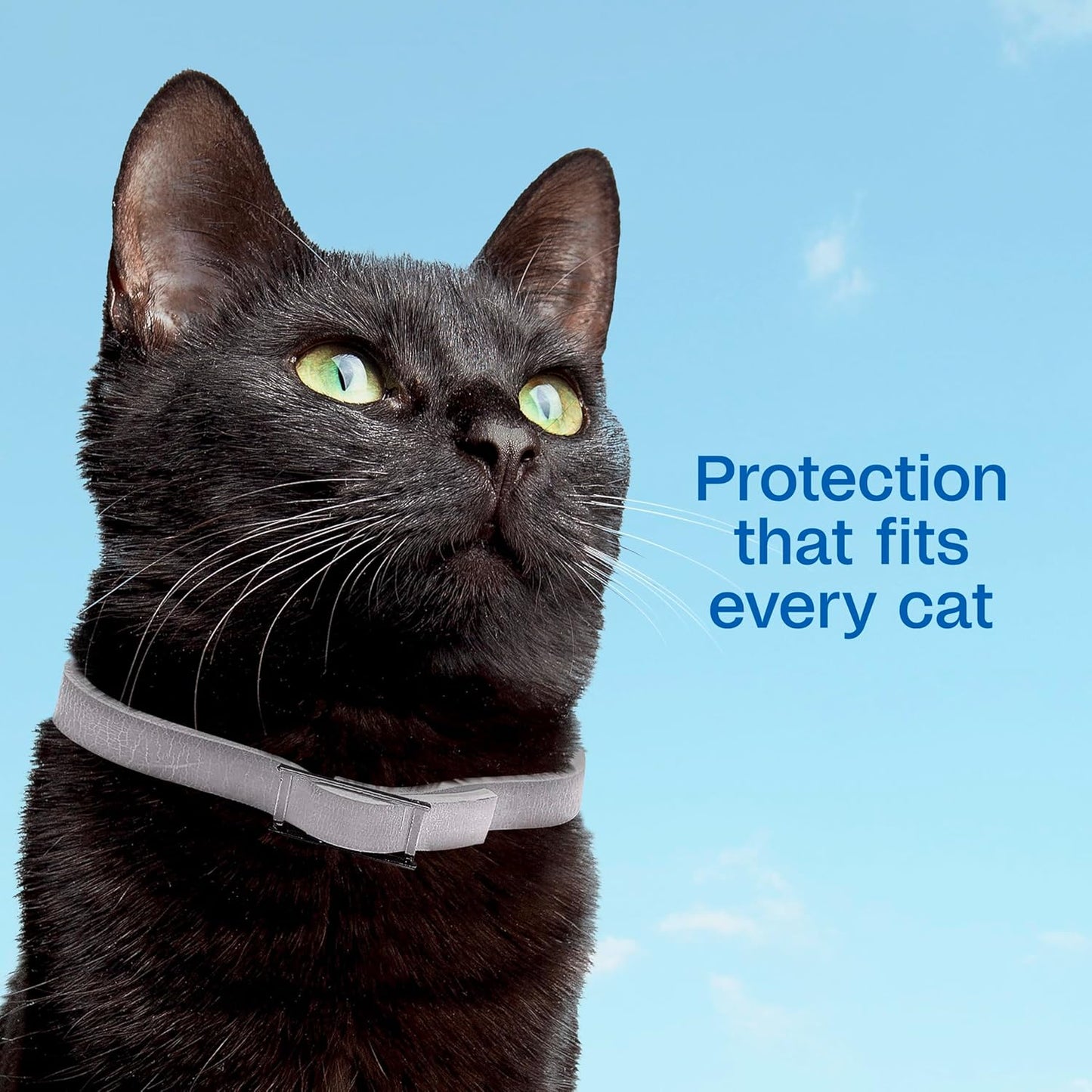 ADAMS Plus Flea & Tick Collar for Cats, Breakaway Collar, 1 White Collar, 7-Month Protection, Kills & Repels Fleas, Flea Eggs, Flea Larvae and Kills Ticks, Tick Nymphs, and Tick Larvae