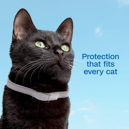 ADAMS Plus Flea & Tick Collar for Cats, Breakaway Collar, 1 White Collar, 7-Month Protection, Kills & Repels Fleas, Flea Eggs, Flea Larvae and Kills Ticks, Tick Nymphs, and Tick Larvae