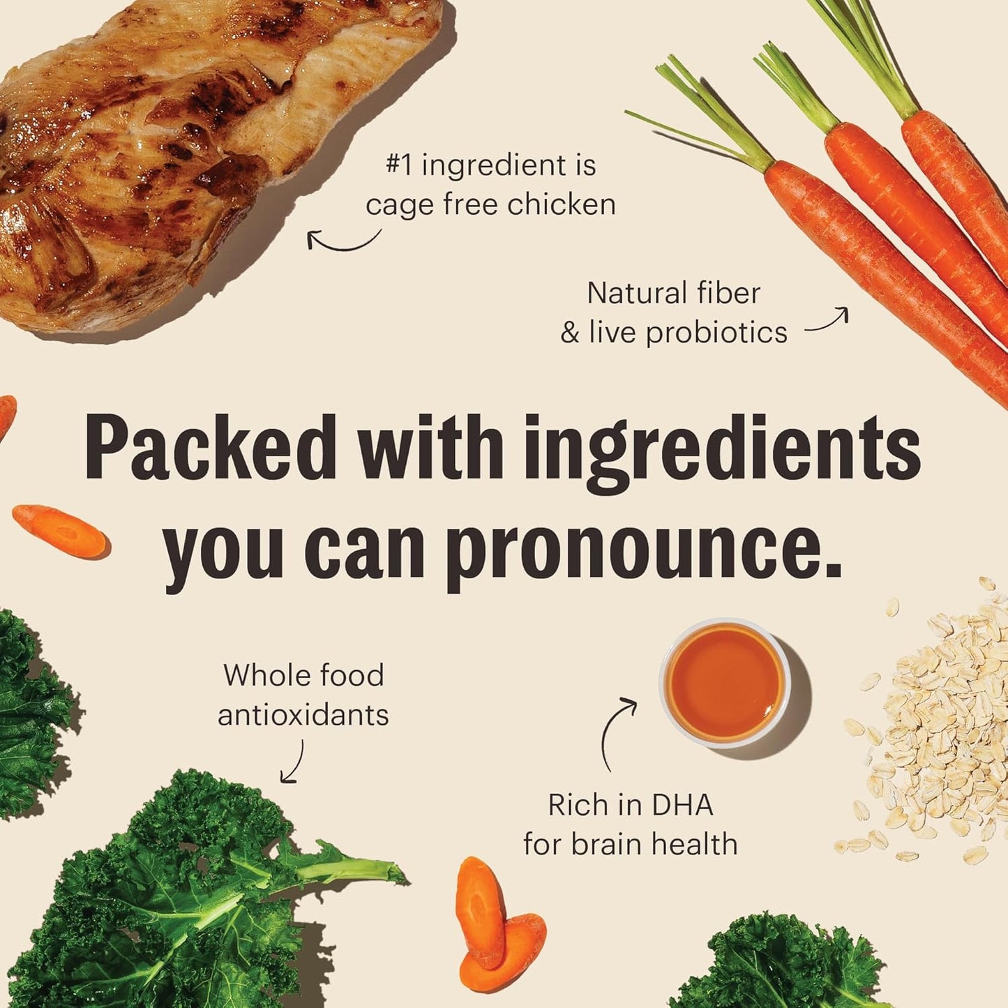 The Honest Kitchen Whole Food Clusters Puppy Whole Grain Chicken Dry Dog Food, 1 lb Bag