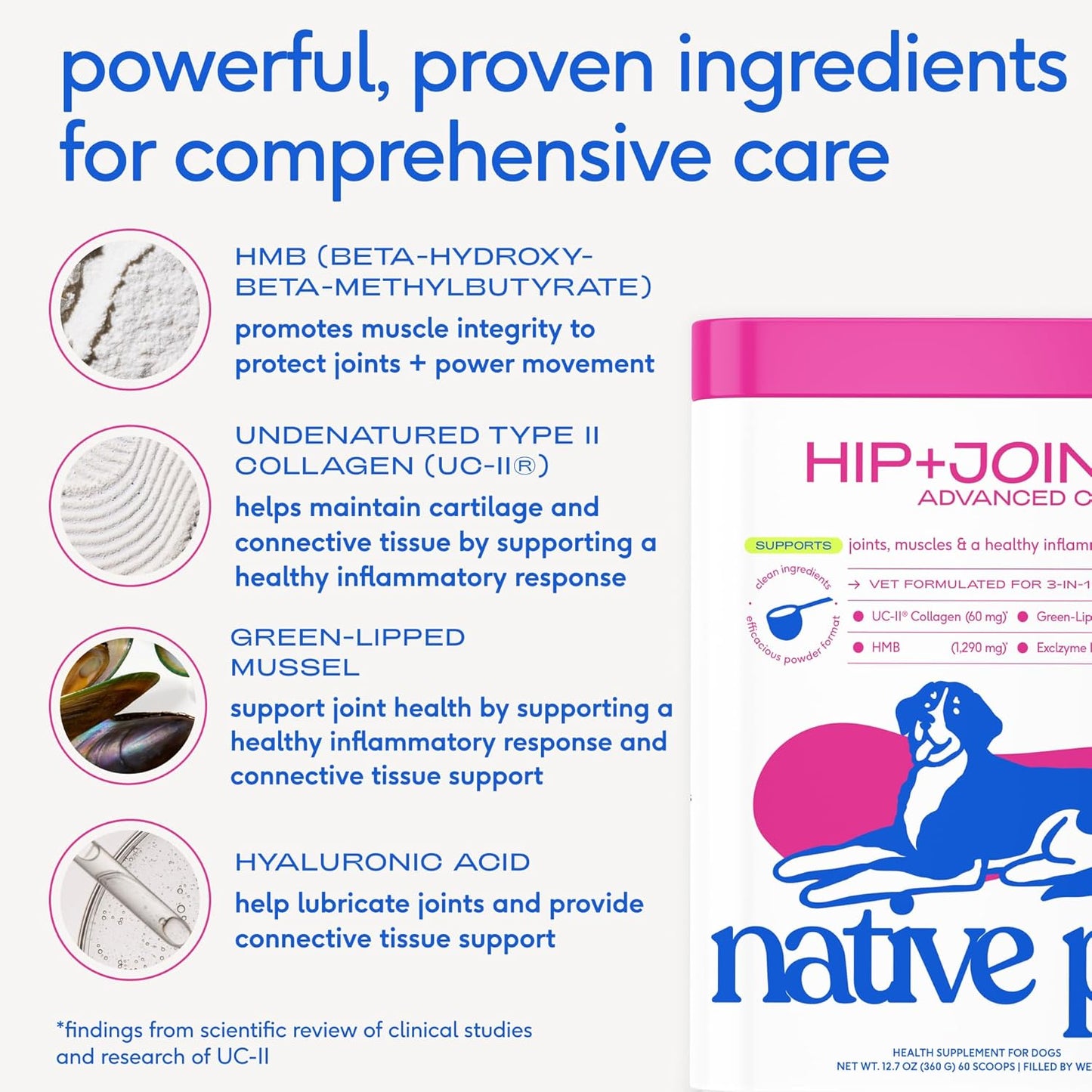Native Pet Joint Health & Daily Wellness Pack: Hip & Joint Supplement for Dogs - Supports Joints, Cartilage, Muscles & Anti-Inflammatory & Dog Vitamins & Supplements 11-in-1 Multivitamin - 60 Scoops