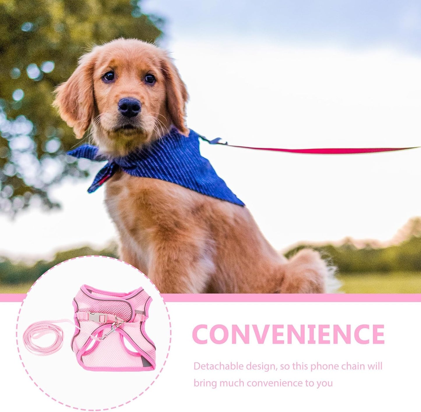 Beaupretty Breathable Reflective Dog Harness and Leash for Comfortable Walking Tear-Resistant Mesh Vest with Skin-Friendly Fabric Portable Safety Gear for Labradors Dachshunds and Household