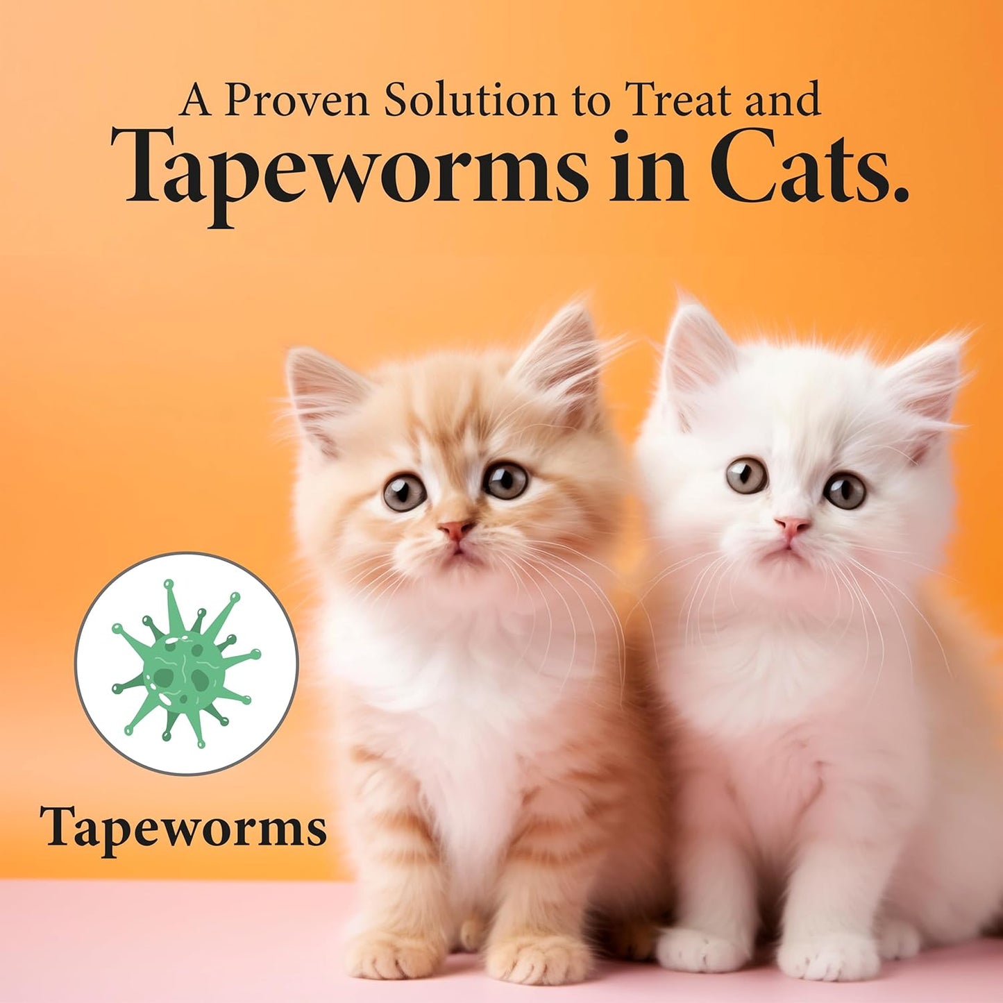 No More Worms in Cats and Kittens- Dewormer for Cats and Dewormer for Kittens - 120mls Chicken Flavour with 3ml Dropper