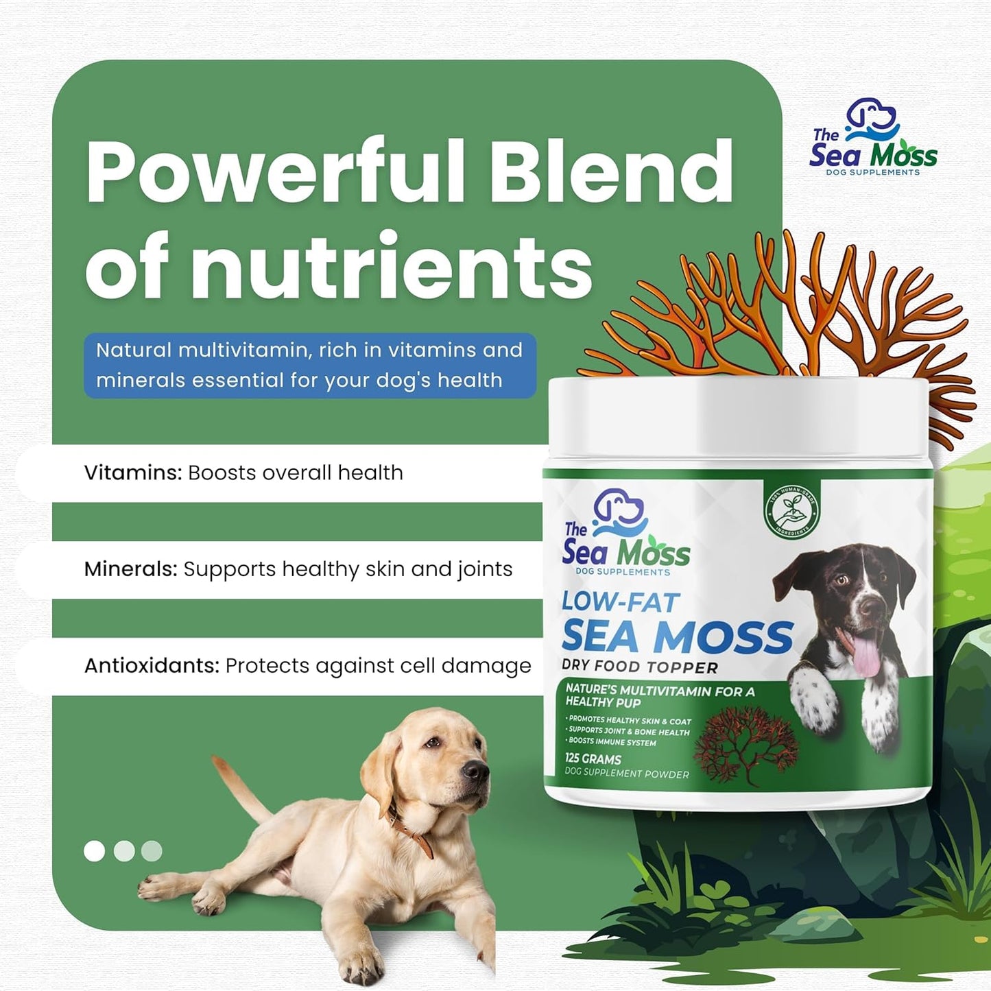 The Sea Moss Low-Fat Dog Supplement Powder, Dry Food Topper - Multivitamin Supports Skin, Coat, Joints, Digestion & Immune Health - Vitamins & Minerals – All Breeds & Sizes - 125 Grams
