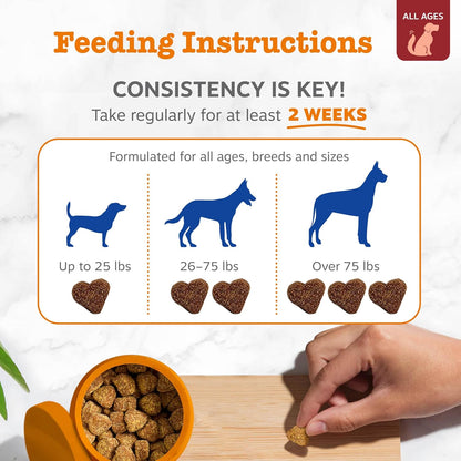 Zesty Paws Dog Multivitamin, Chewable Dog Vitamins and Supplements for Hip & Joints, Skin & Coat, Omega 3 Fish Oil for Dogs- Senior & Puppy Multivitamin - Bison- 90ct