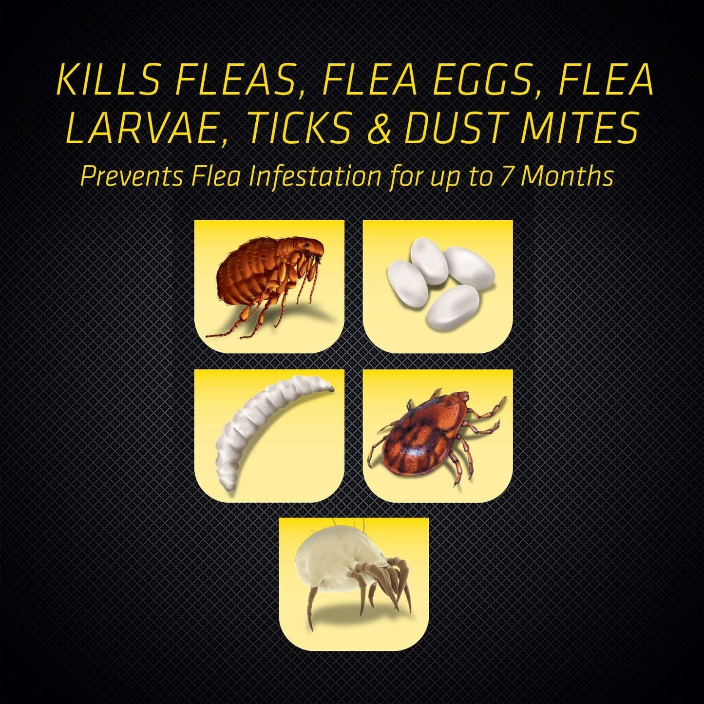 Black Flag Flea & Tick Killer for Upholstery & Pet Bedding Aerosol, 16-Ounce, 12-Pack