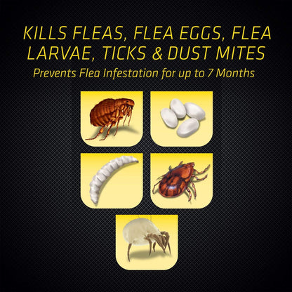 Black Flag Flea & Tick Killer for Upholstery & Pet Bedding Aerosol, 16-Ounce, 12-Pack