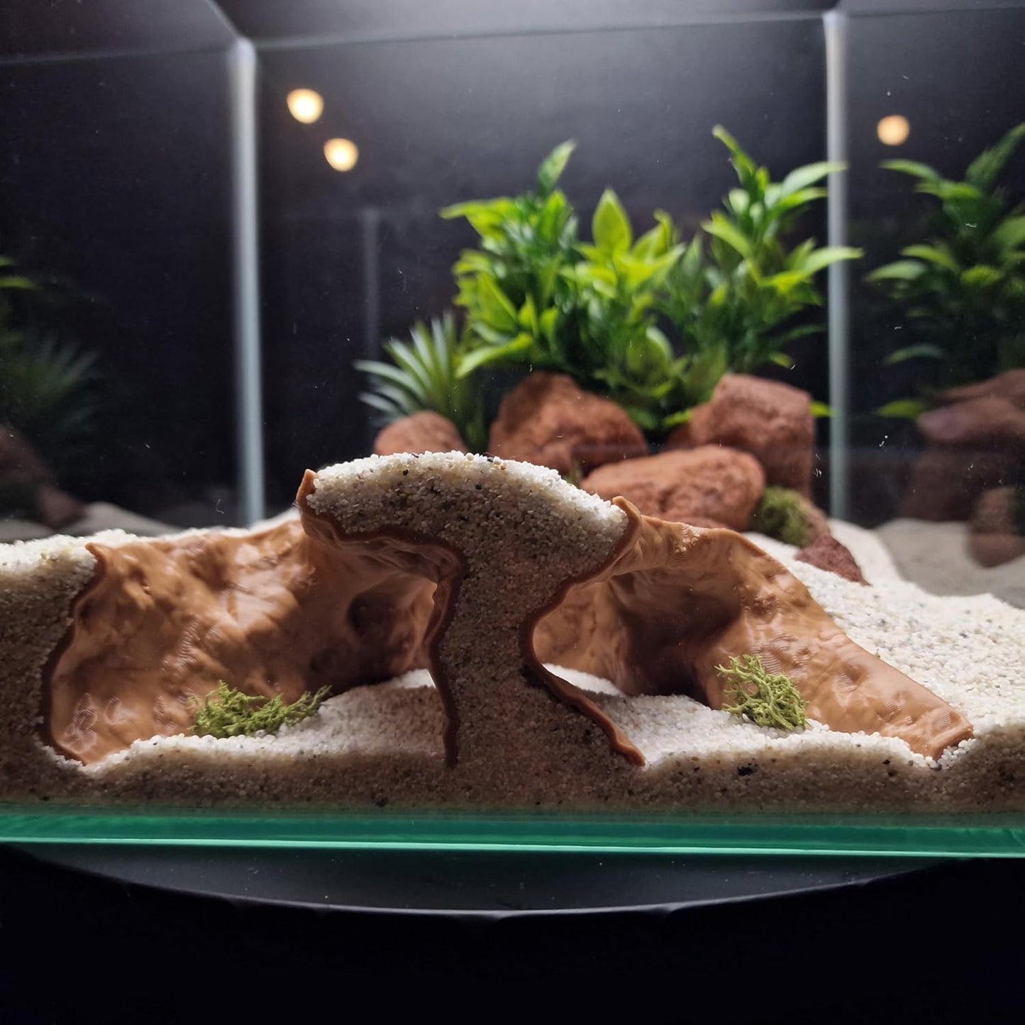Aquarium Cave Hide for Pleco, Shrimp, Corydoras, and Reptiles, Natural Cave Design Terrarium Decoration